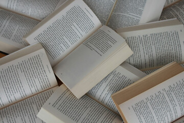 Landmark US Court Decision: AI Training on Books Recognised as Fair Use - What This Means for the Industry